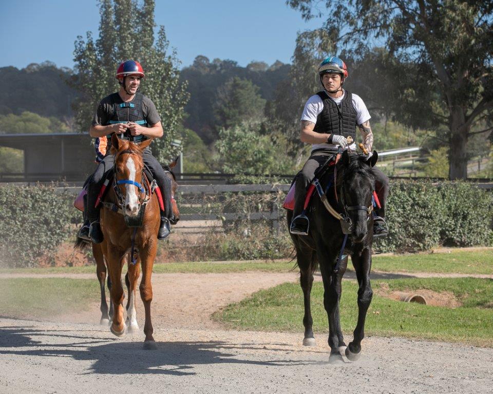 SCISSOR KICK x MISS BAX Colt with The People's Trainer RICHARD FREEDMAN